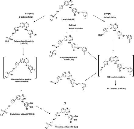 fenbendazole for pancreatic cancer
