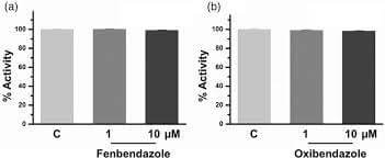 how much fenbendazole for humans