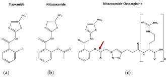 nitazoxanide 500 mg