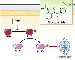 nitazoxanide tablets
